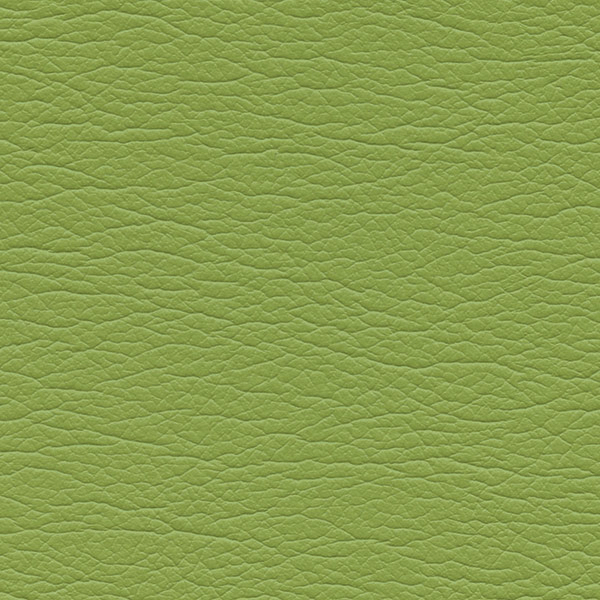 Set to use Parrot material